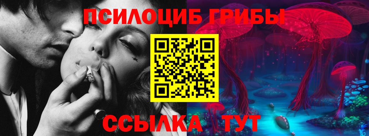 Псилоцибиновые грибы мицелий  Вход с VPN  Тихвин 
